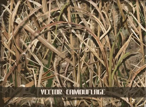 Camouflage Stock Illustration
