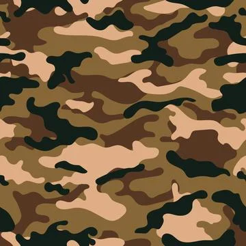 Camouflage military pattern Stock Illustration