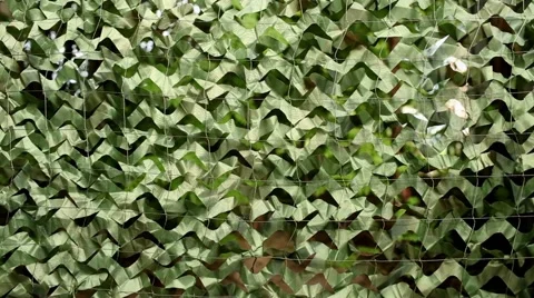 Camouflage net Stock Footage 51394808