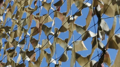 Camouflage net Stock Footage 130519587