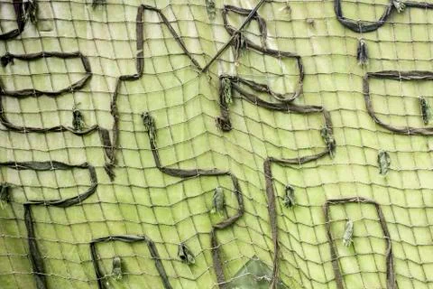 Camouflage Net Stock Photos