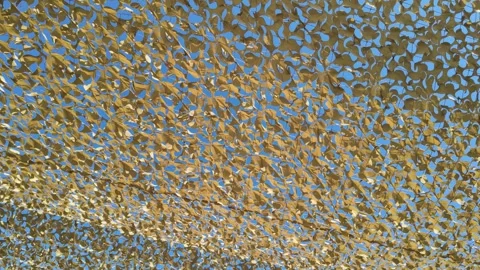 Camouflage netting creating a dappled light effect against a clear blue sky Stock Footage 337325980