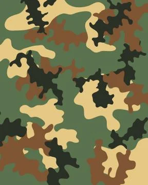 Camouflage pattern Stock Illustration