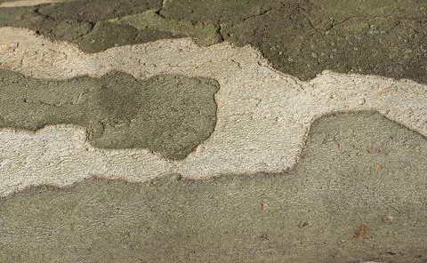 Camouflage pattern on plane tree bark background Foto stock