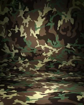Camouflage studio portrait backdrop with floor. 3d rendering Stock Illustration