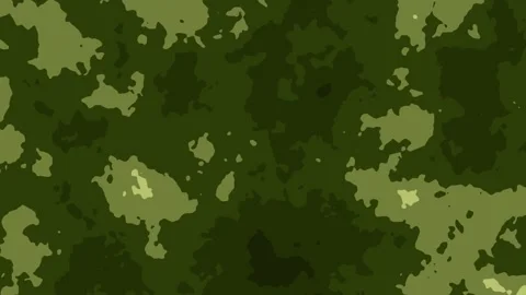 Camouflage texture or military pattern. Army animation imitating forest Stock Footage 264600716