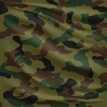 Camouflage texture realistic vector background Stock Illustration