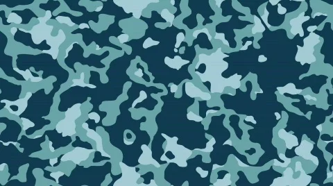 Camouflage2 Video stock 352707