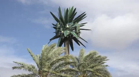 Camouflaged communication cell tower on a windy day Stock Footage 59935103