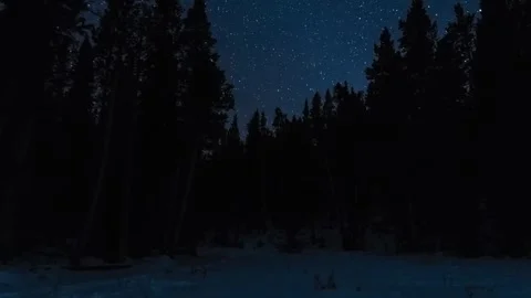 Camp and bonfire in winter forest Stock-Footage 311555986