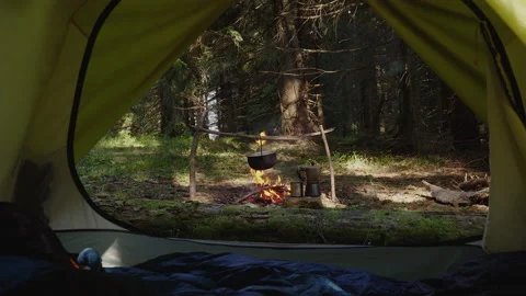 Camp in a beautiful forest Stock Footage 142734169
