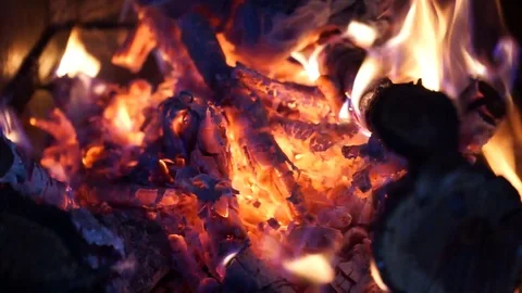 Camp bonfire is burning Video stock 89096032