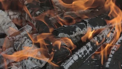 Camp bonfire burning woods closeup Stock Footage 80922986