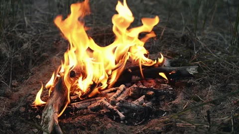 Camp bonfire in the fireplace Stock Footage 112137590