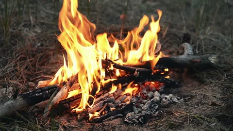 Camp bonfire in the fireplace. Stock Footage 112138110