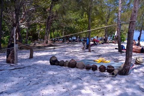 Camp of coconuts and ropes Stock Photos