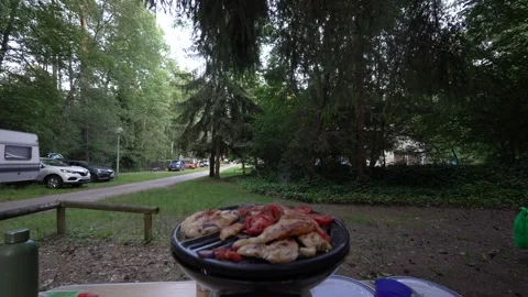 Camp cooking BBQ barbeque grill meat chicken food in France French campsite Stock Footage 331427436