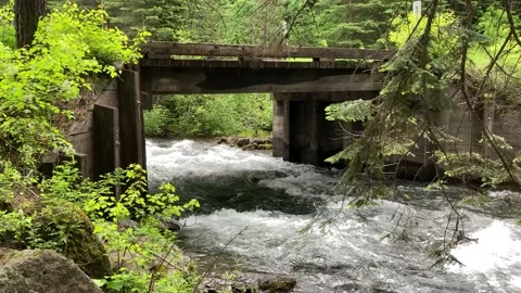 Camp Creek flowing under an old wooden bridge northeastern Oregon, USA (4k) Stock Footage