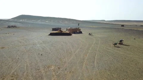 Camp on desert Video stock 134022179