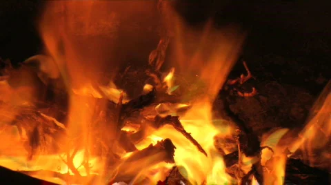 Camp Fire 2 Stock Footage 346193