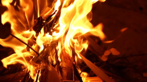 Camp Fire 240FPS Stock Footage 31497714