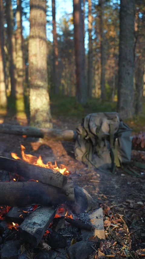 Camp fire and backpack Vidéo 289001812