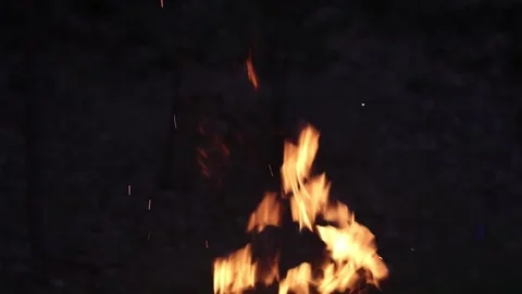 Camp fire and crickets Stock Footage 140759918