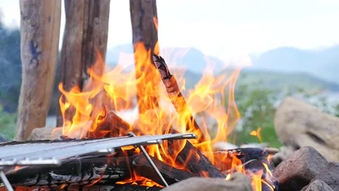 Camp Fire BBQ at the Lake. Video stock 165644187