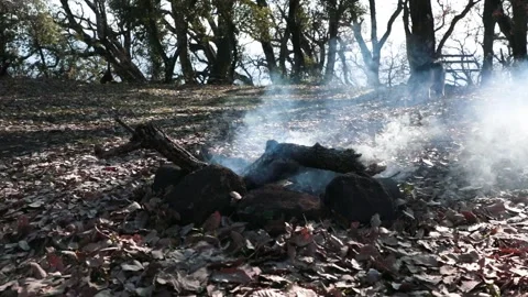 Camp fire burn out Stock Footage 194375754