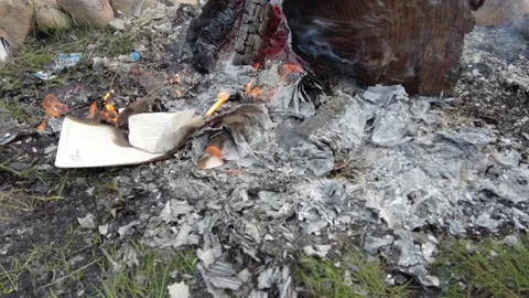 Camp fire burning books 4k Stock Footage 167568903