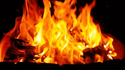 Camp Fire Burning At Night Stock Footage 97271294