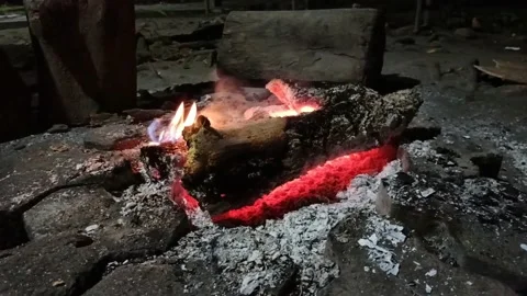 Camp fire burning outside at night Stock Footage 239652264