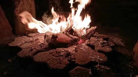 Camp fire burning outside at night Stock Footage 239652350