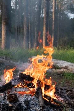 Camp fire burning Stock Photos