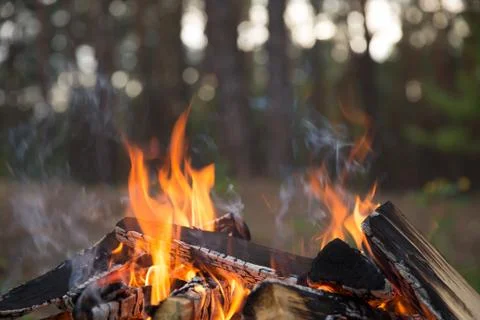 Camp fire burns Stock Photos
