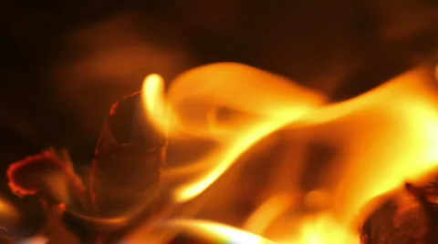 Camp Fire, Close-up Stock Footage