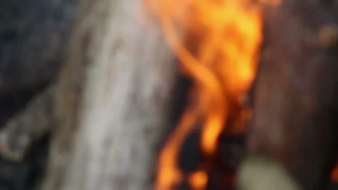 Camp fire close-up, unfocused background. Stock Footage 204160723
