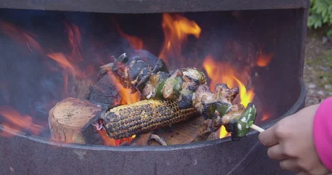 Camp fire close up view Stock Footage 116758122