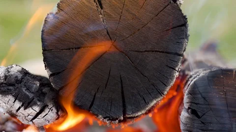 Camp fire during day macro tilt down Vídeos de archivo 128145854