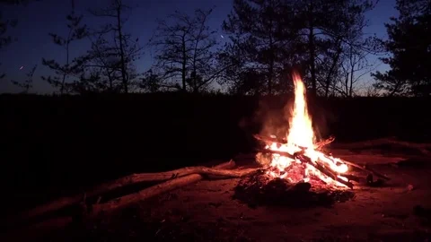 Camp fire at dusk Red River Gorge Kentucky call of Whip-poor-will Vidéo 74663007