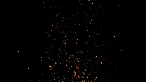 Camp fire embers Stock Footage 189348444