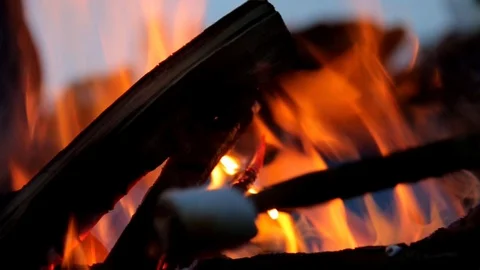 Camp Fire at evening after sunset with wooden logs and orange flames Video stock 88665615