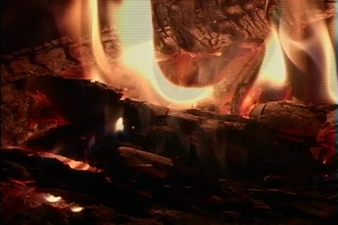 Camp fire Stock Footage 353932