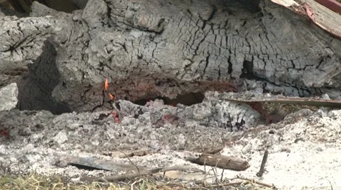 Camp Fire Video stock 8128121