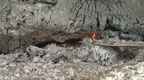 Camp Fire Stock Footage 8129316