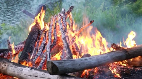 Camp Fire Stock Footage 8509677