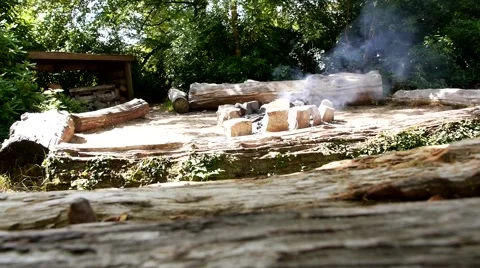 Camp Fire 動画素材 41582674