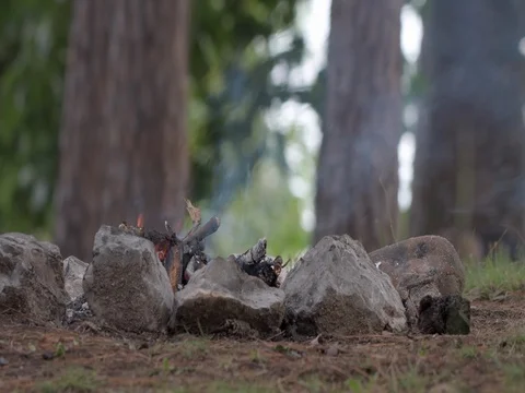 Camp Fire Stock Footage 80241154