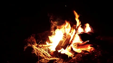 Camp fire Stock Footage 98863907