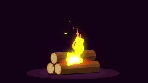 Camp fire Stock Footage 108947001